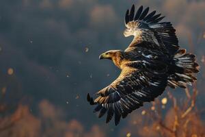 Secretary White Eagle bird flying in the forest photo