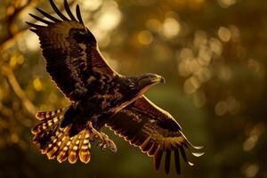 Serpent Eagle bird flying in the forest photo