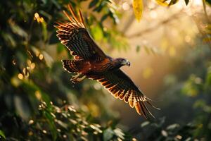 Serpent Eagle bird flying in the forest photo