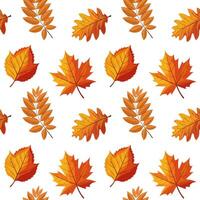 Seamless pattern of colorful autumn leaves. Autumn falling leaves background. Illustration, print, textile vector