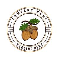 acorn vintage logo design. acorn in emblem form concept vector