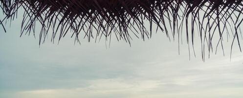 Reed canopy on the beach. photo