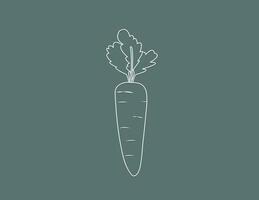 A white fresh carrot vegetable icon with shadow on dark background illustration vector