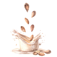Almond milk drink and dairy splash. Watercolor dropping almonds, peeled and in shell into yogurt, cream. Plant, soy based drink. Vegan product label Hand drawn food composition on isolated background png