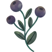 Spring and flowers png