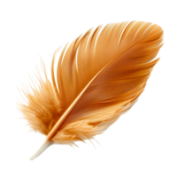 Close-Up of a Delicate Feather Showing Soft and Fluffy Texture png