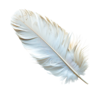Close-Up of a Delicate Feather Showing Soft and Fluffy Texture png
