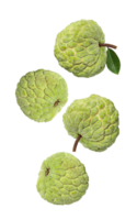 custard apple falling, cutout, full depth of field png