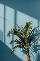 Blurred shadow from palm leaves on the light blue wall Minimal abstract background for product presentation Spring and summer. photo