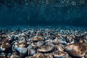 Underwater ocean with sea bottom and reflection on surface. photo
