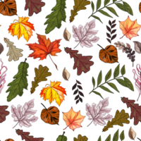 Autumn pattern. The leaves are multi-colored. The fall Seamless pattern. Colorful seamless pattern of autumn, fall howthorn leaves, hand made ink print png
