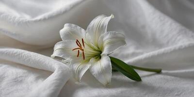 Delicate white lily on a white piece of fabric. photo