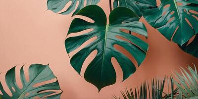 Close-up of several overlapping turquoise and peach tropical monstera leaves. photo