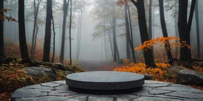 Empty round black podium on a stone platform with a blurred background of autumn forest and fog in cloudy weather For product display. photo