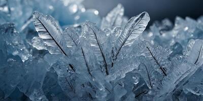 Ice formations created by a meteorological process known as hard rime. photo