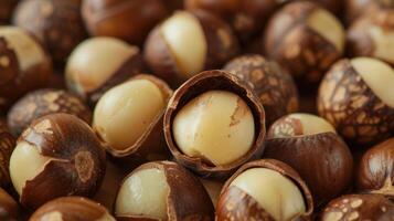 Macadimia nuts close up photo