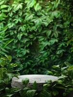 foliage background podium photo