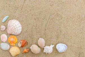 Top view of different sea shells on sand with copy space for text. Time to vacation photo