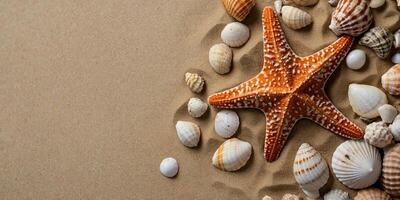 Summer travel background from beach sand with starfish and seashell Top view. photo