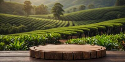Wooden podium top on tea plantation background For product display. photo