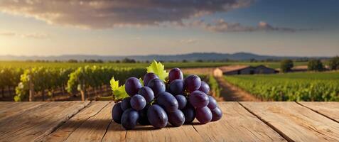 Wooden table top with blurred grape field background, ideal for product display or design key visual layout, grape, field, harvest, rice, wheat, wooden, table top, agriculture, farm, rural. photo