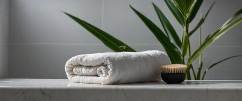 A clean bathroom background with a green palm branch casting shadows, a terry cotton towel and a massage brush. photo