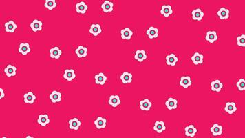 Seamless animation loop of playful floral pattern with white and blue flowers on vibrant pink background, Ideal for backgrounds, presentations, or textile design video