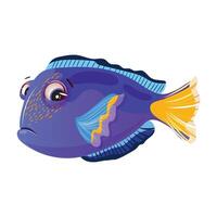 Expressive Blue Tang fish with a sad look, depicted in blue and yellow hues, set against a white background vector