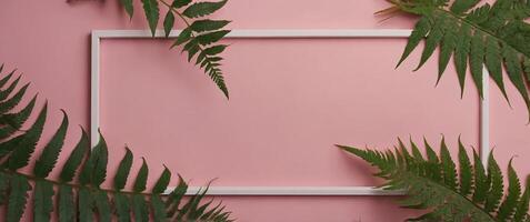 Top view pink fern leaves frame on pink background, Minimal fashion summer holiday concept Flat lay. photo