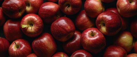 red apples top view close up frame background wallpaper. photo