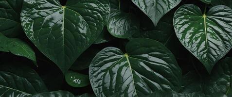 surface made of leaves, with its delicate veins and vibrant green color. photo