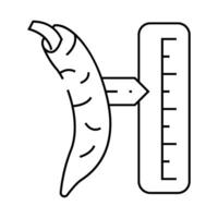 cayenne pepper spice scale line icon illustration vector