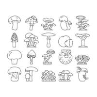 Mushroom Vegetable And Fungus Icons Set vector
