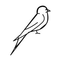 swift bird line icon illustration vector