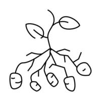 potato bush plant line icon illustration vector