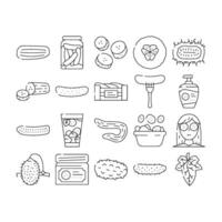 cucumber slice vegetable green icons set vector