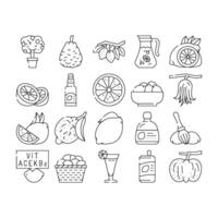lemon fruit citrus slice fresh icons set vector