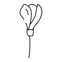 freesia flower spring line icon illustration vector