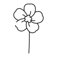forget me not flower spring line icon illustration vector