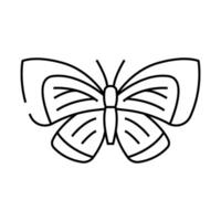 spring azure insect line icon illustration vector