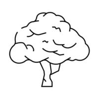 macadamia tree jungle amazon line icon illustration vector