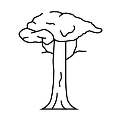 kapok tree jungle amazon line icon illustration
