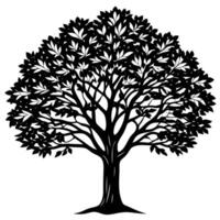 High resolution tree, Tree leaf, Cartoon tree vector