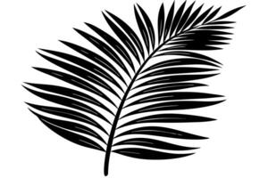 High resolution tree, Tree leaf, Cartoon tree vector