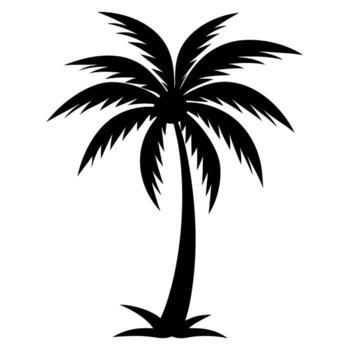 palma árbol silueta, Coco árbol silueta vector