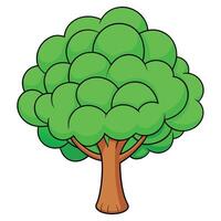 High resolution tree, Tree leaf, Cartoon tree vector