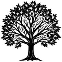 High resolution tree, Tree leaf, Cartoon tree vector