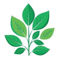 High resolution tree, Tree leaf, Cartoon tree vector