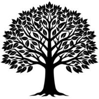 High resolution tree, Tree leaf, Cartoon tree vector