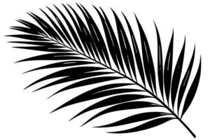 High resolution tree, Tree leaf, Cartoon tree vector